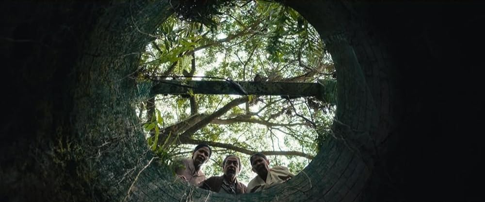 کارخانه شکر