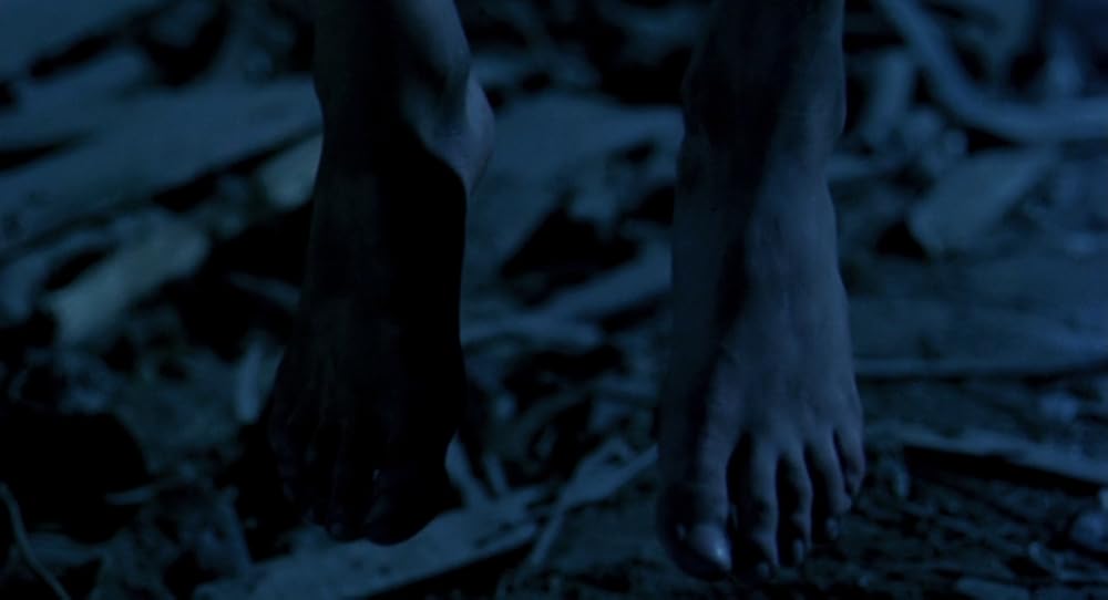 در یک قفسه شیشه ای