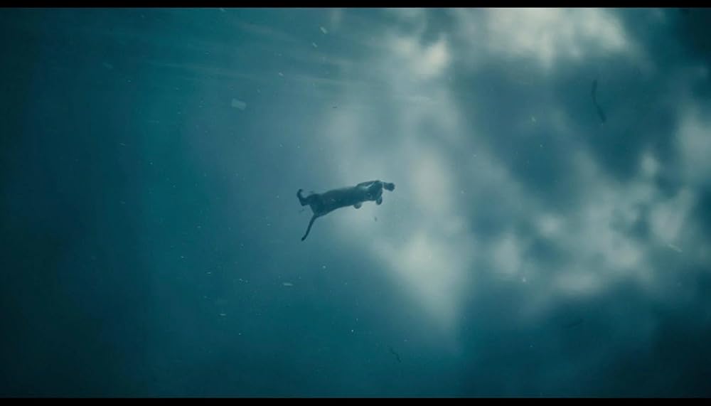 موفاسا: فرمانروای شیرها