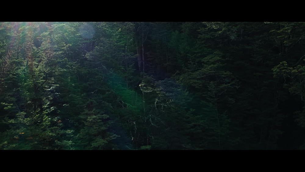 مرد گرگ نما