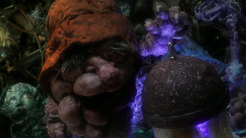 خدای دیوانه