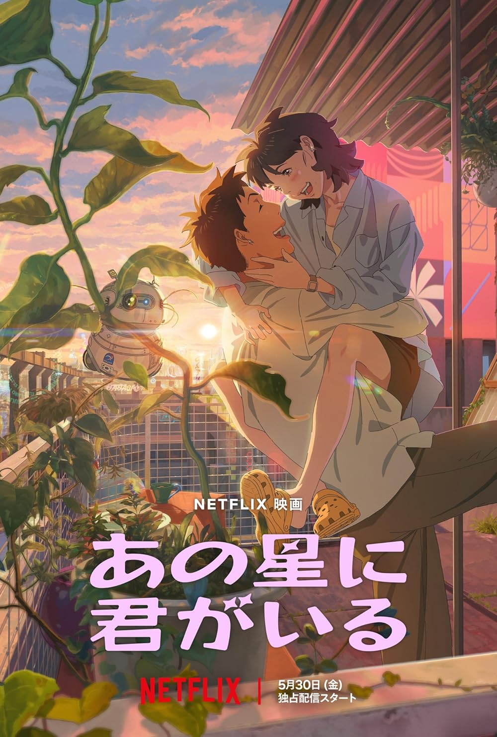 گمشده در نور ستارگان