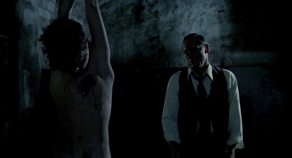 در یک قفسه شیشه ای