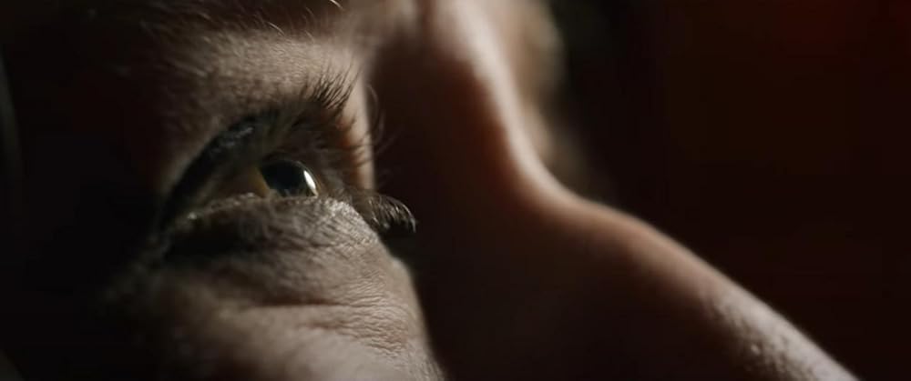 مقصد نهایی: خطوط خونی