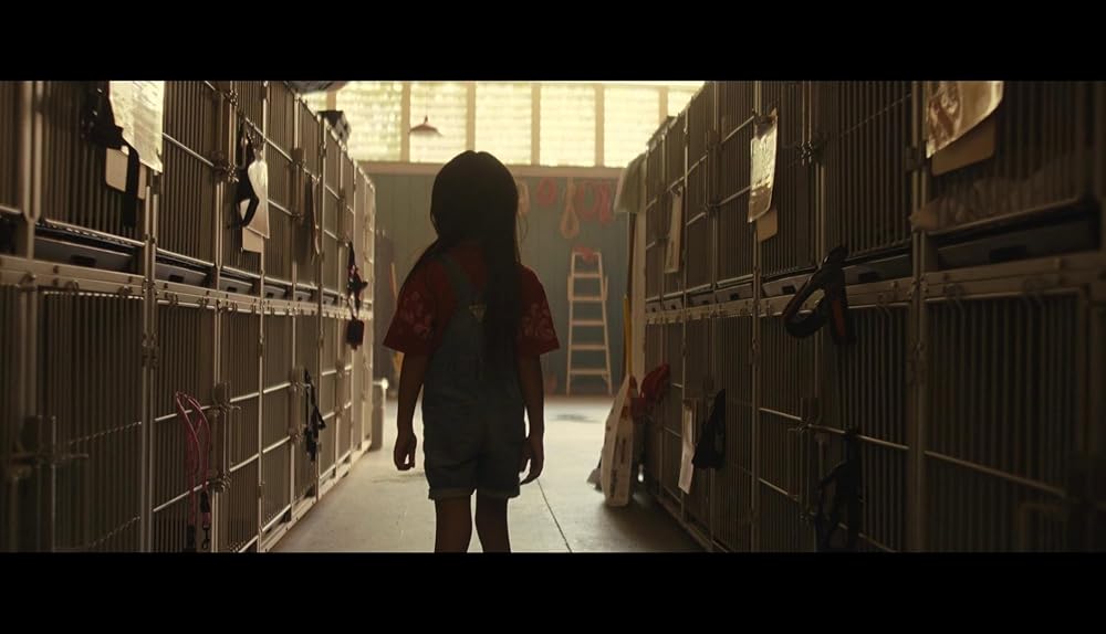 لیلو و استیچ