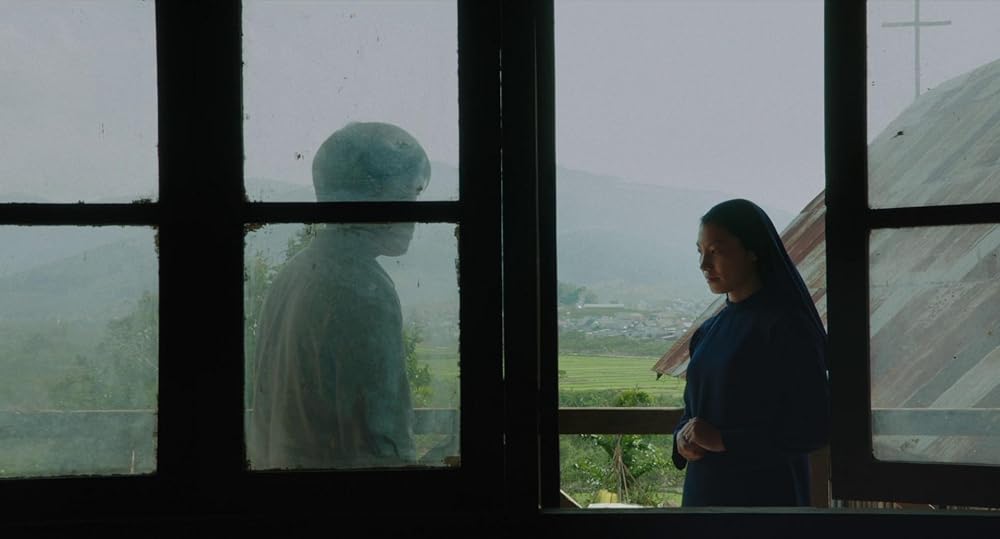 درون پوسته پیله زرد