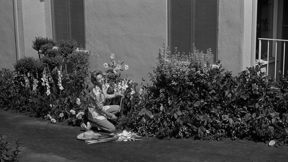 چه بر سر بیبی جین آمد؟