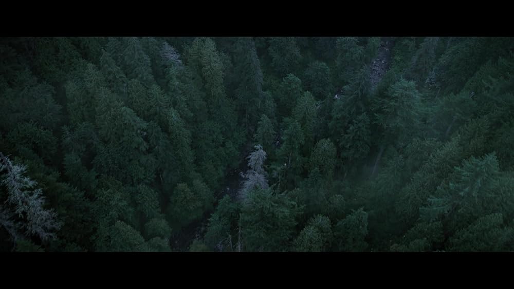 مرد گرگ نما