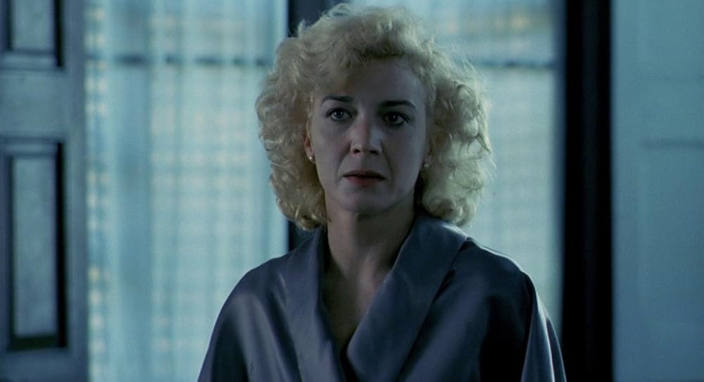 در یک قفسه شیشه ای