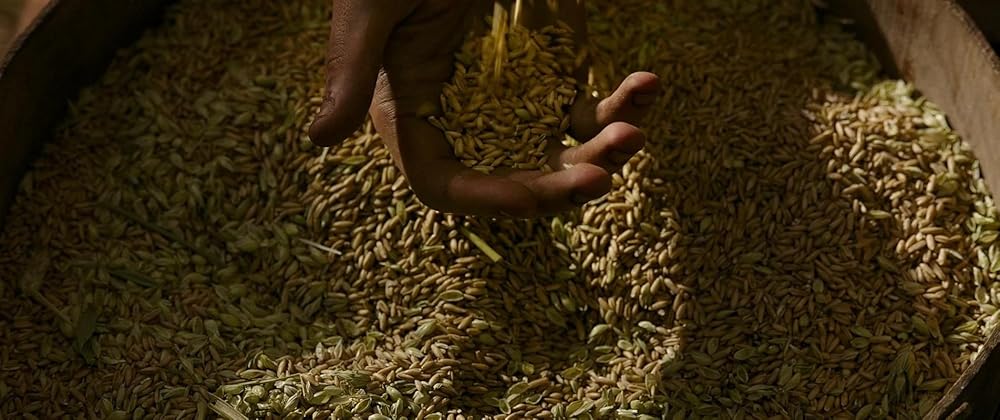 گلادیاتور ۲