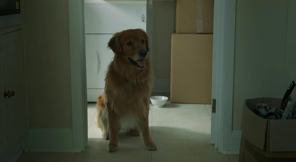 جاده یخی ۲: جاده‌ای به آسمان