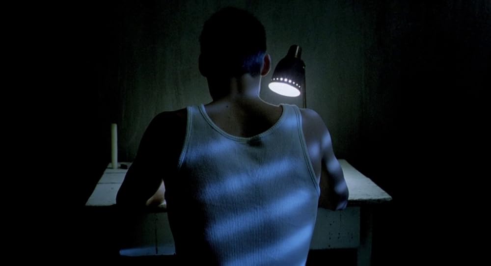 در یک قفسه شیشه ای