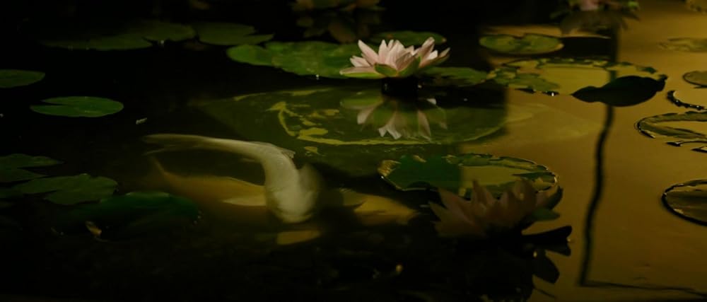 گلادیاتور ۲