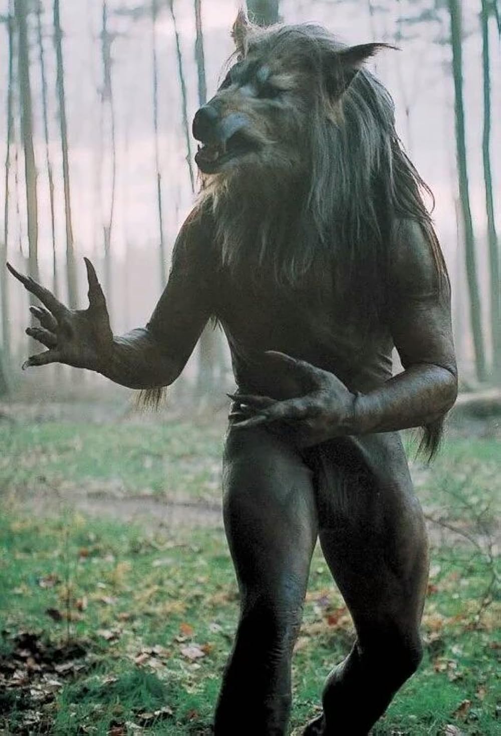 سربازان سگی