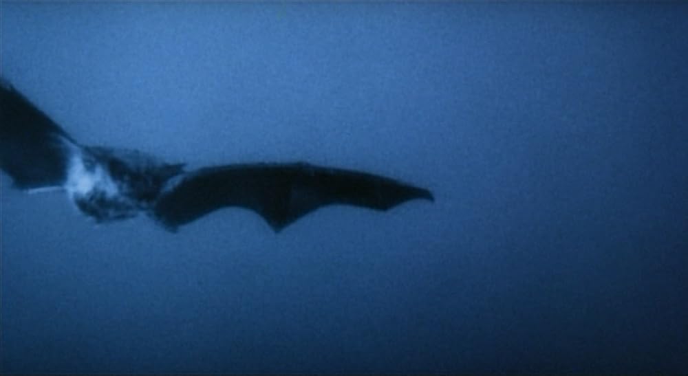 نوسفراتو خون‌آشام