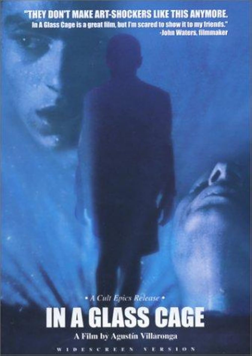 در یک قفسه شیشه ای