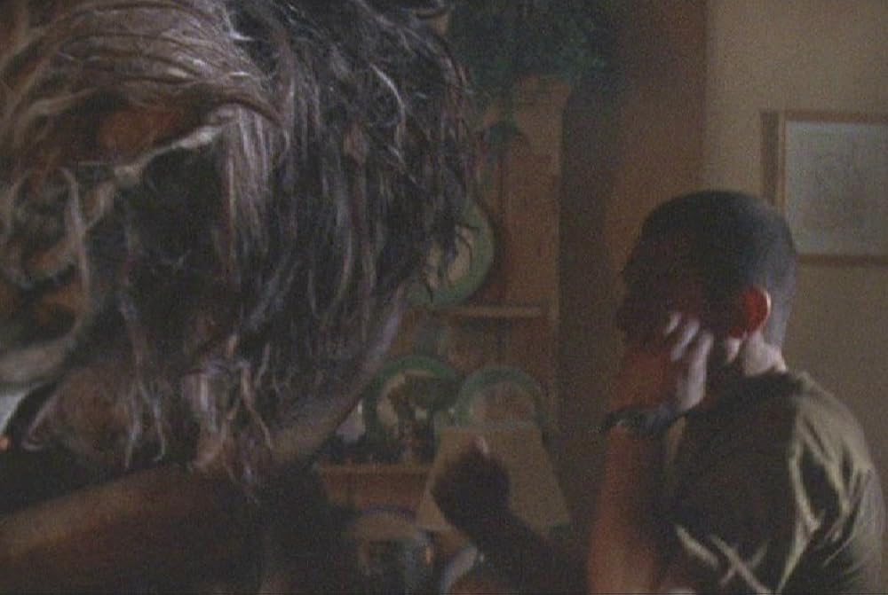 سربازان سگی