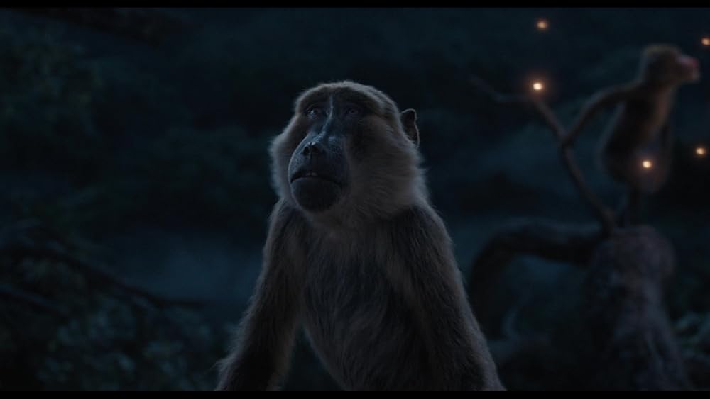 موفاسا: فرمانروای شیرها