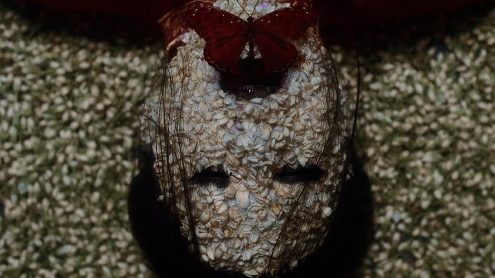 خانه پروانه‌ای