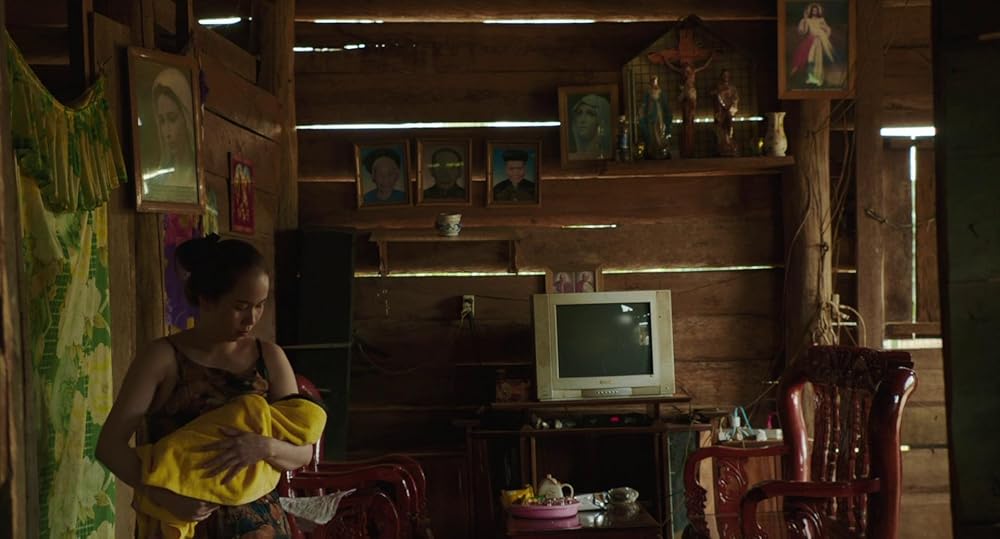 درون پوسته پیله زرد