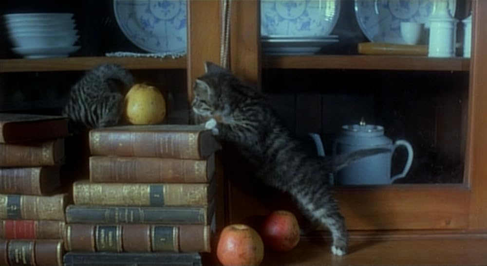 نوسفراتو خون‌آشام