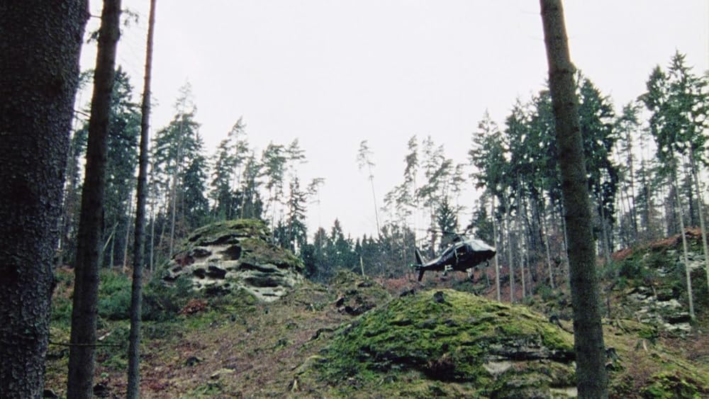 سربازان سگی