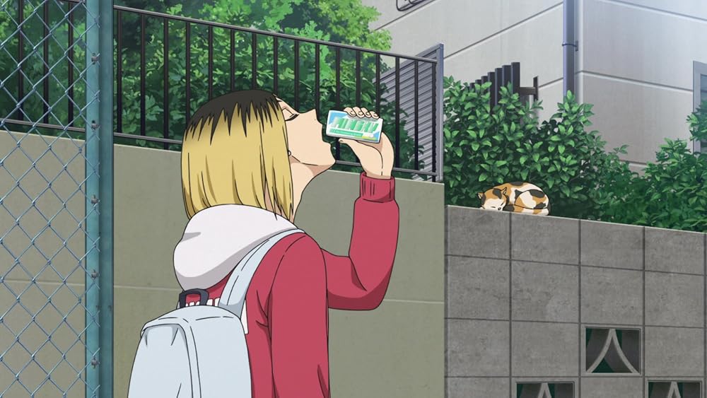 هایکیو!! نبرد دامپستار