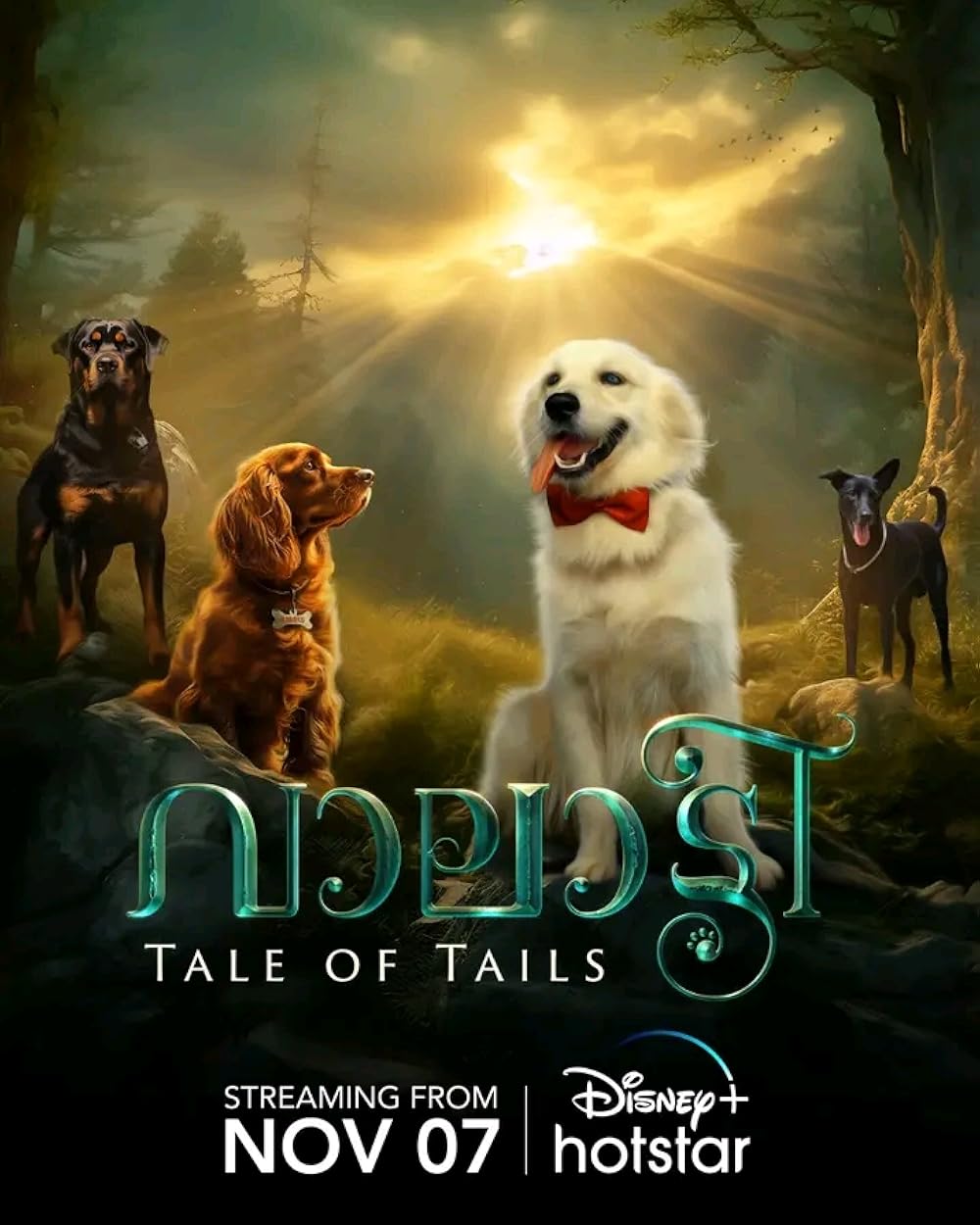 والاتی : داستان سگ ها