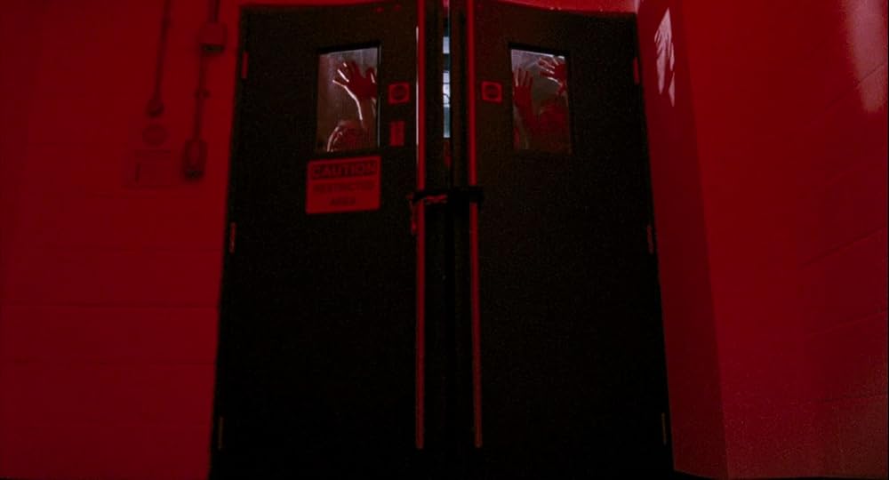 ۲۸ هفته بعد