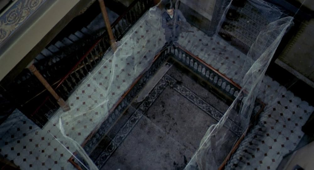 در یک قفسه شیشه ای