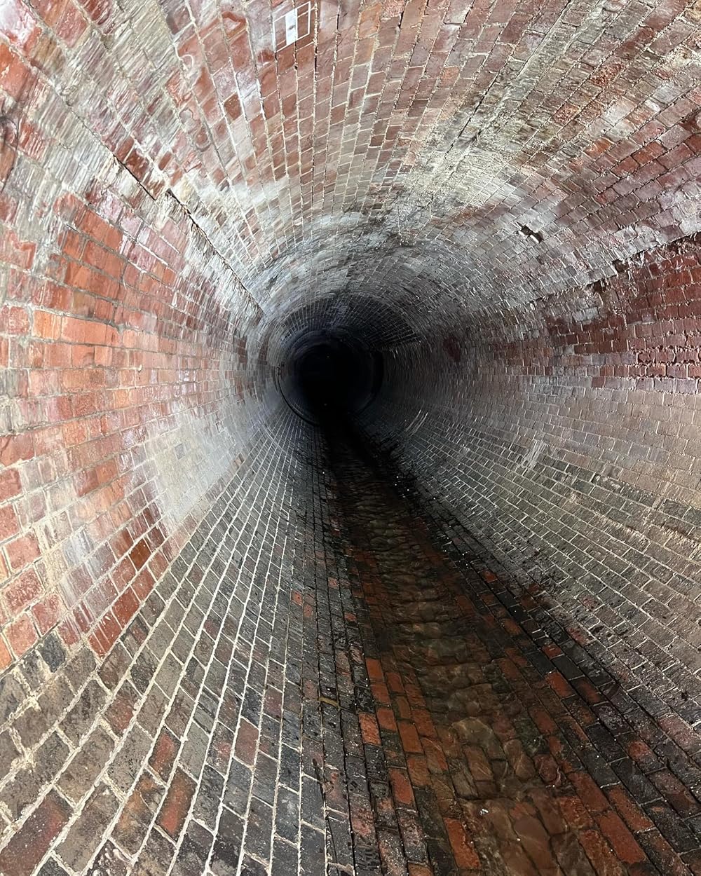 تک‌تیرانداز: آخرین نبرد