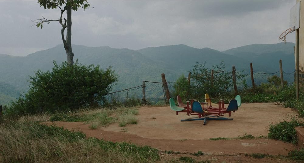 درون پوسته پیله زرد