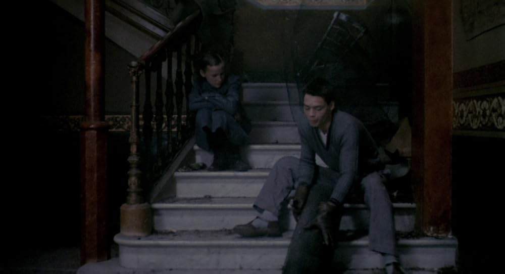 در یک قفسه شیشه ای