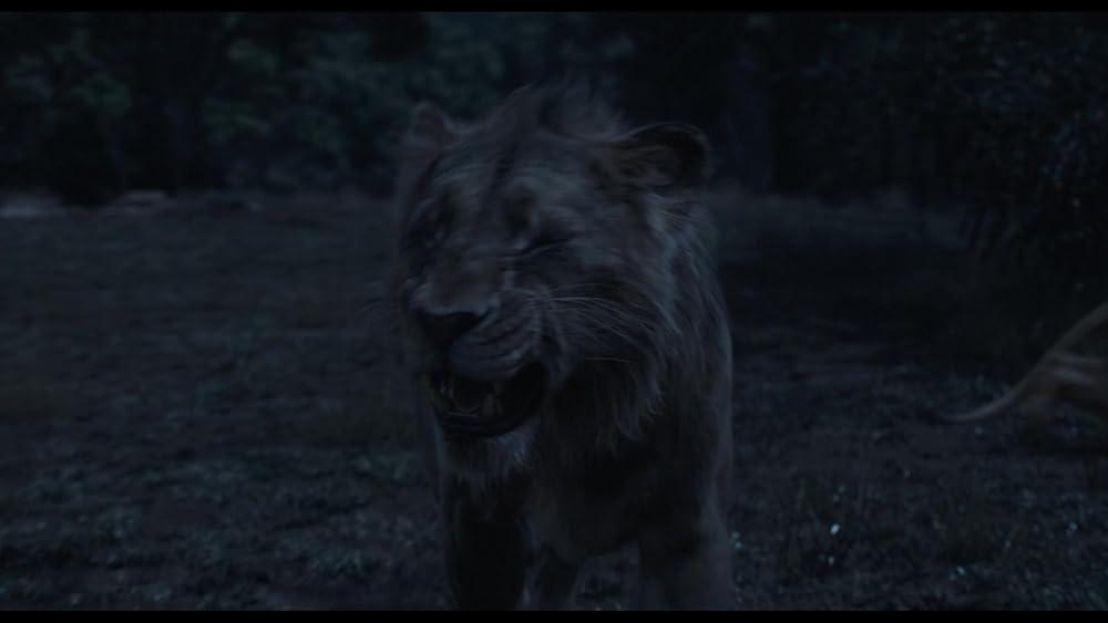 موفاسا: فرمانروای شیرها