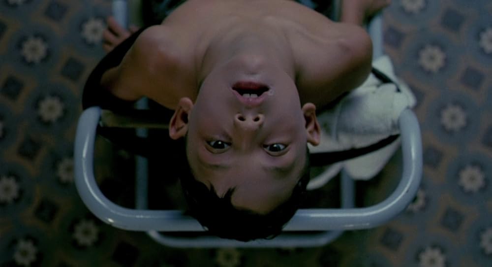 در یک قفسه شیشه ای