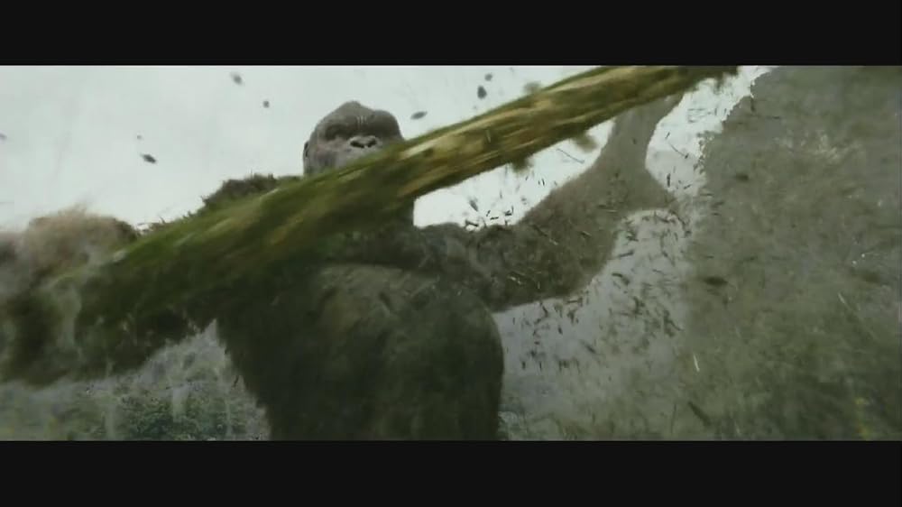 کونگ جزیره جمجمه