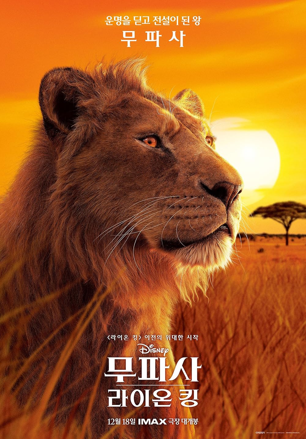 موفاسا: فرمانروای شیرها