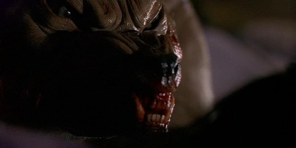 گاز گرفتن جینجر