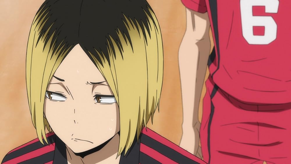 هایکیو!! نبرد دامپستار