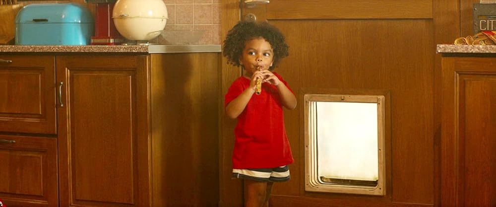 مرد کیسه‌دار