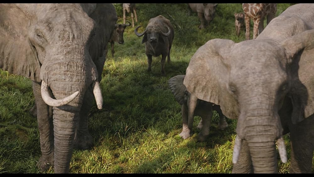 موفاسا: فرمانروای شیرها