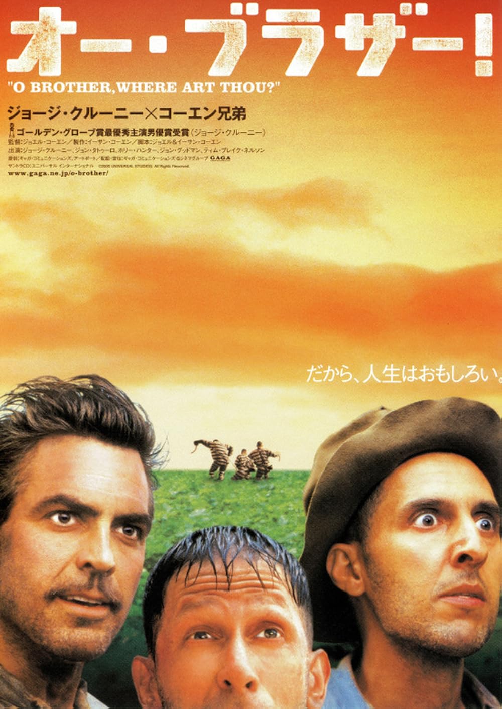 ای برادر، کجایی؟