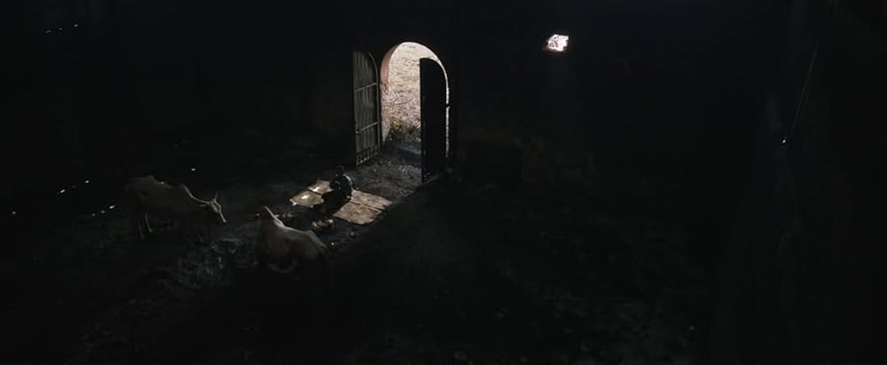 کارخانه شکر