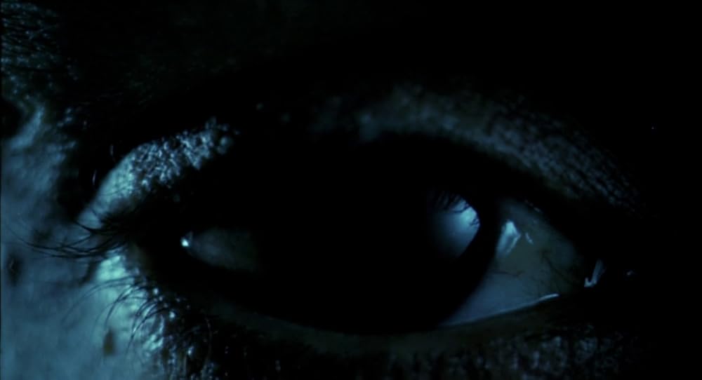 در یک قفسه شیشه ای