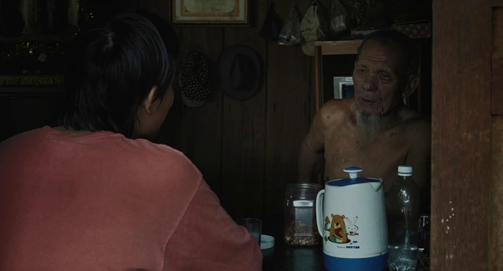 درون پوسته پیله زرد