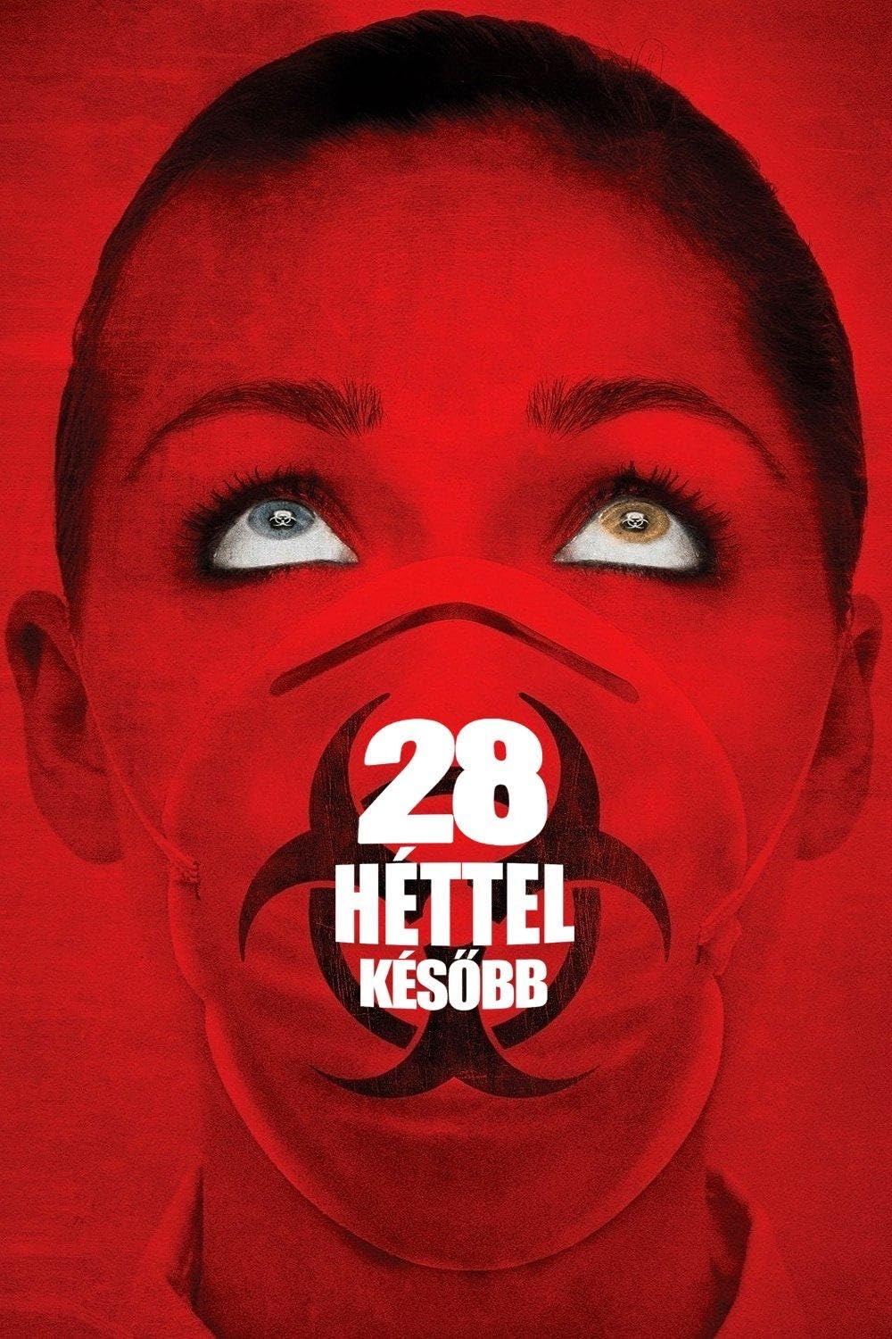 ۲۸ هفته بعد