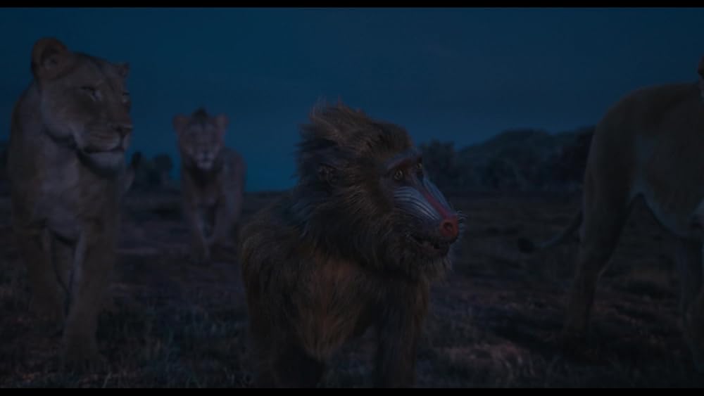 موفاسا: فرمانروای شیرها