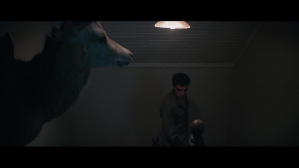 مرد گرگ نما