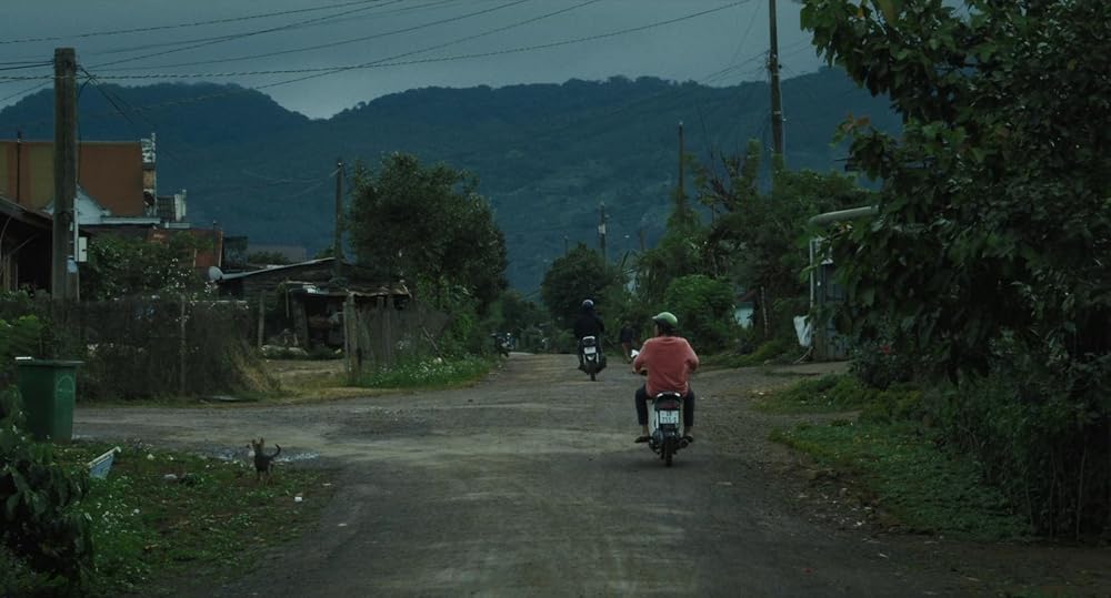 درون پوسته پیله زرد