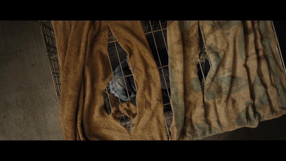 لیلو و استیچ